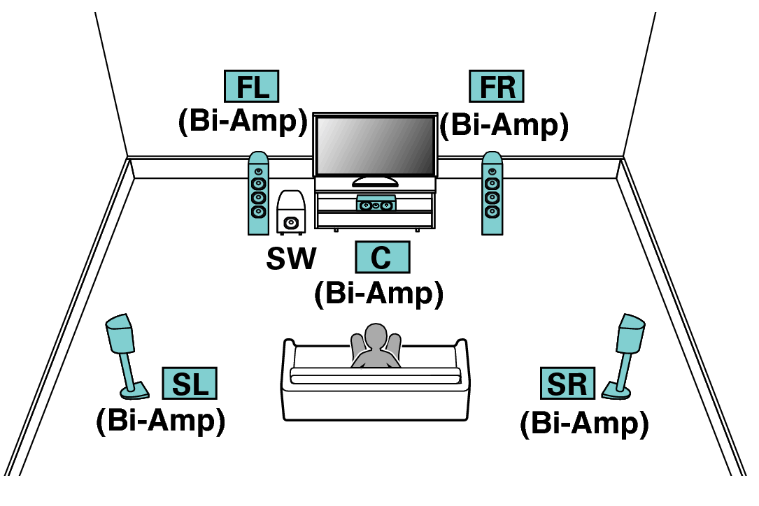 Pict SP Layout 5.1 BiAmp X64